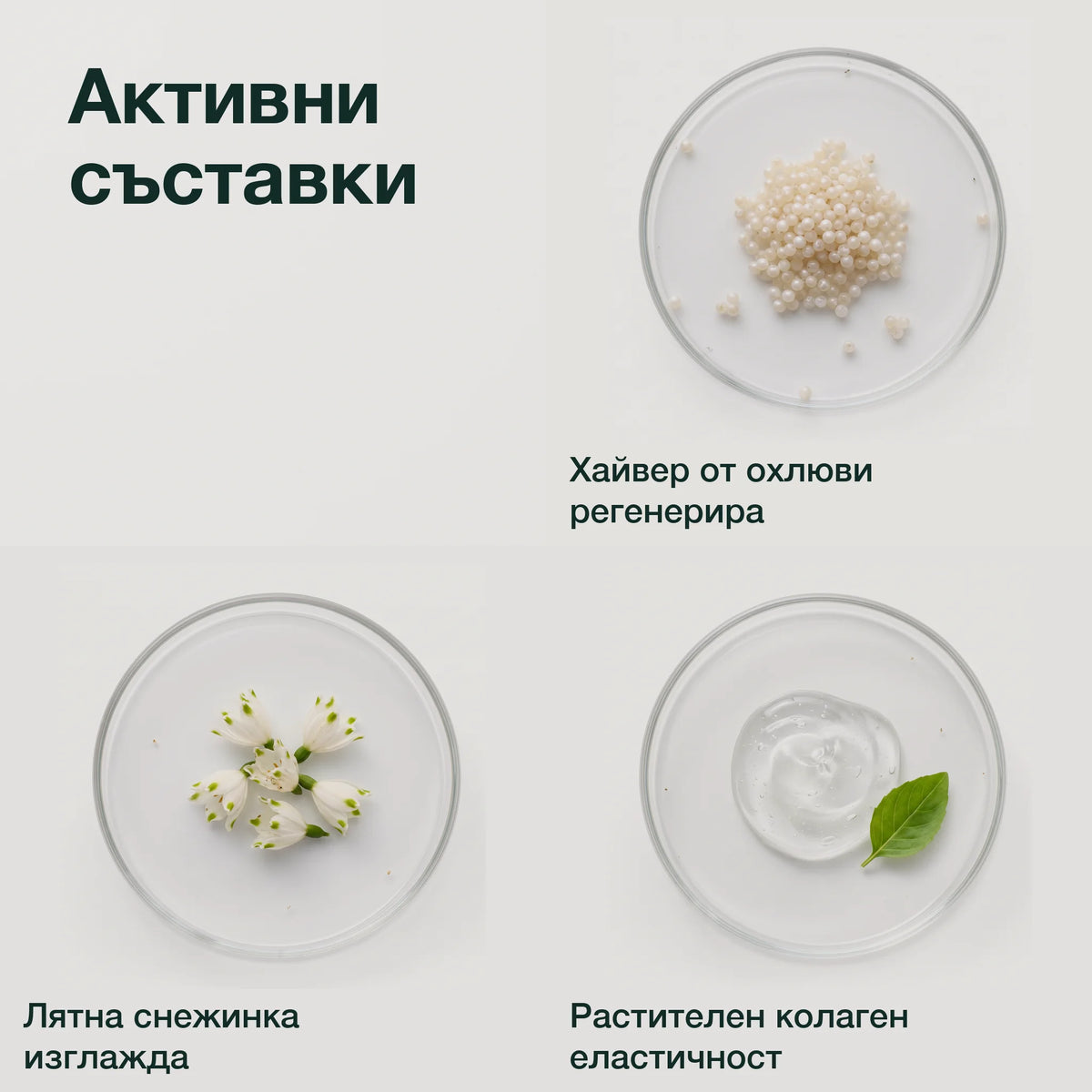 Регенериращ серум с антиейдж ефект: Активни съставки