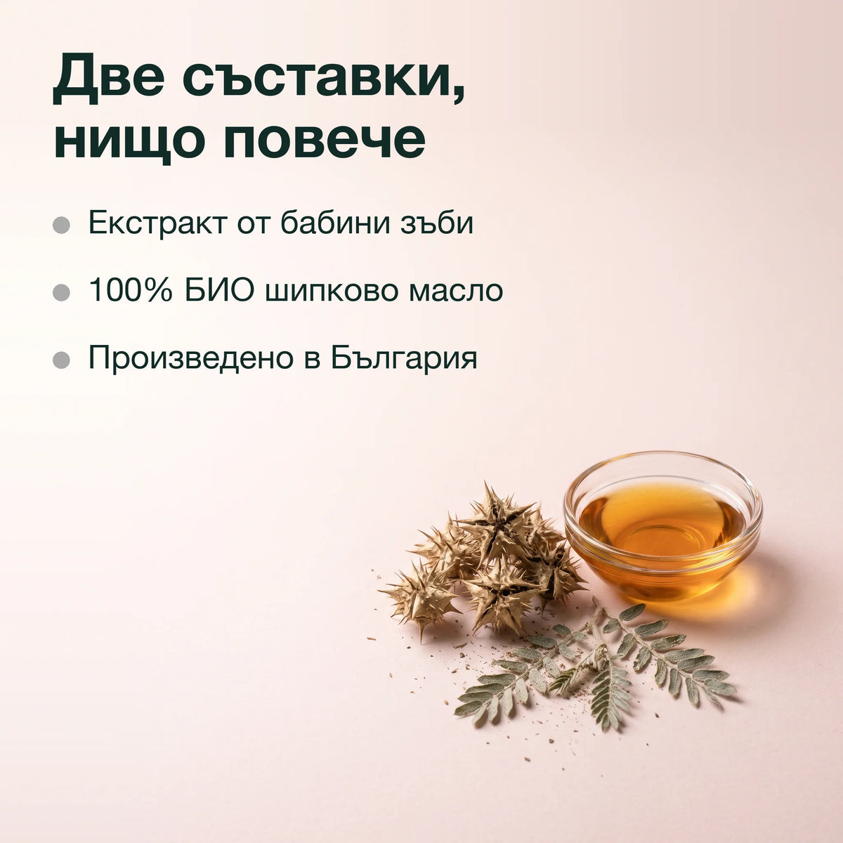 Екстракт от бабини зъби в шипково масло: Две съставки, нищо повече