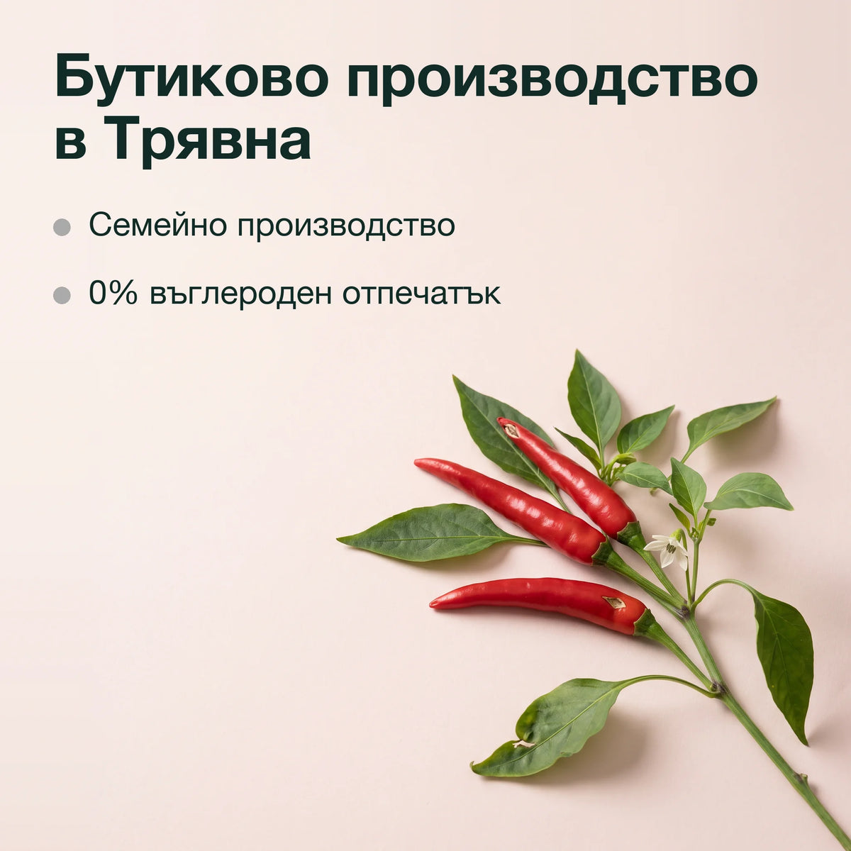 Екстракт от капсаицин в шипково масло: Бутиково производство в Трявна