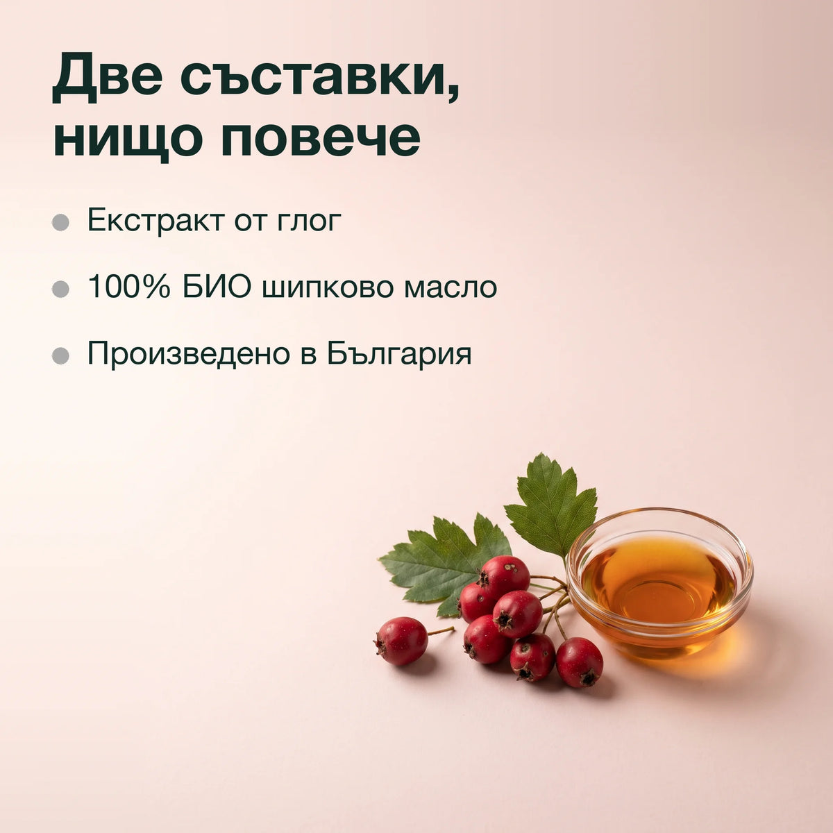 Екстракт от глог в шипково масло: Две съставки, нищо повече