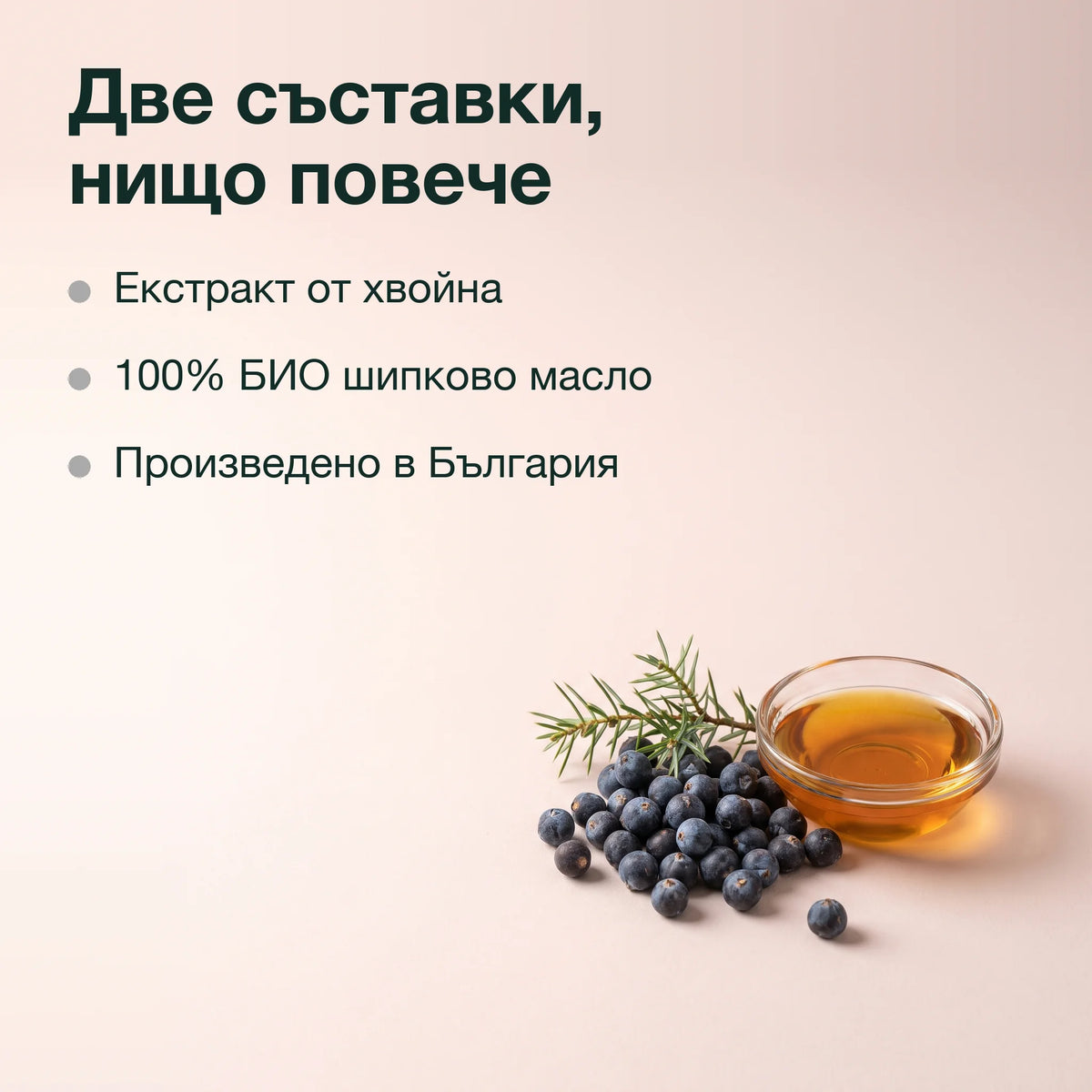 Екстракт от хвойна в шипково масло: Две съставки, нищо повече