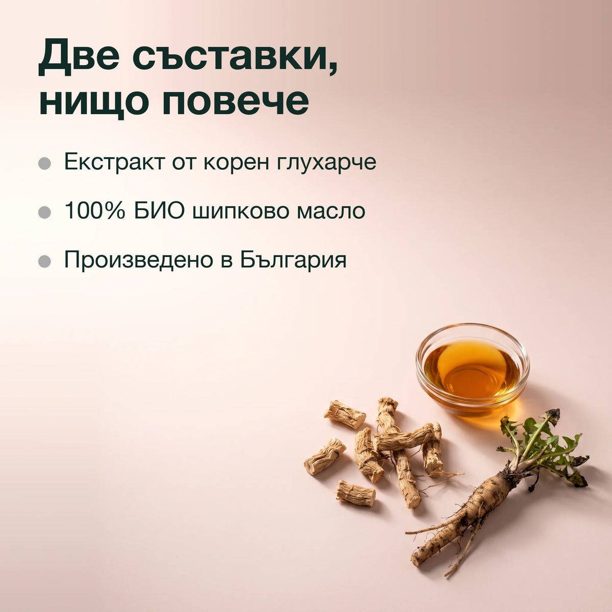 Екстракт от корен на глухарче в шипково масло: Две съставки, нищо повече