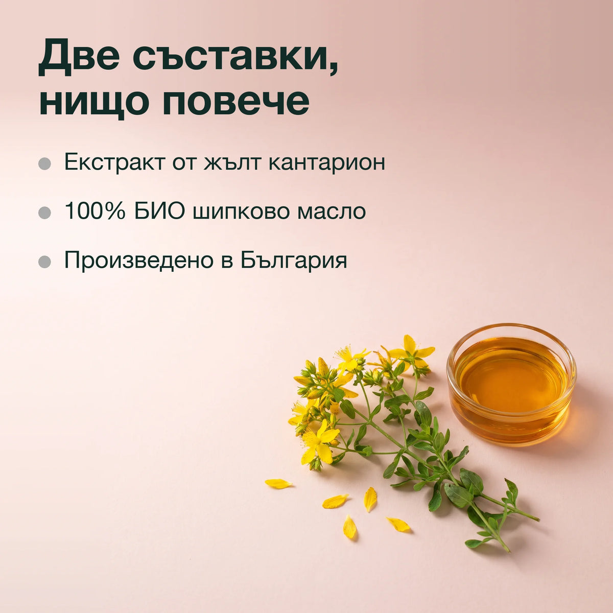 Екстракт от жълт кантарион в шипково масло: Две съставки, нищо повече