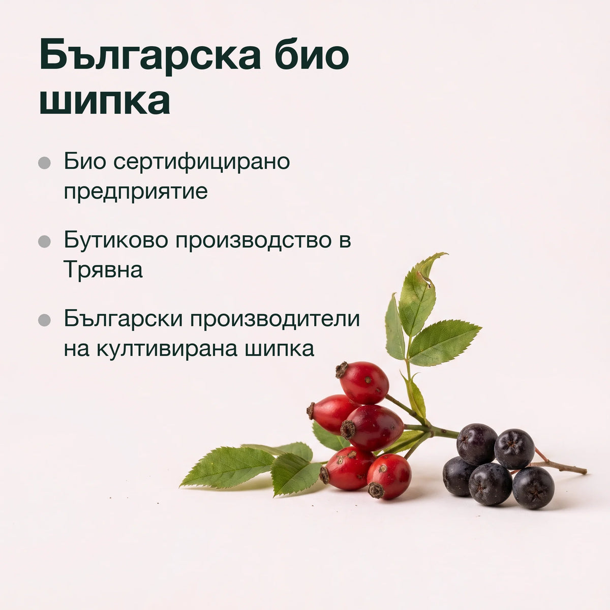 Шипка с мултивитамин за деца: Българска био шипка