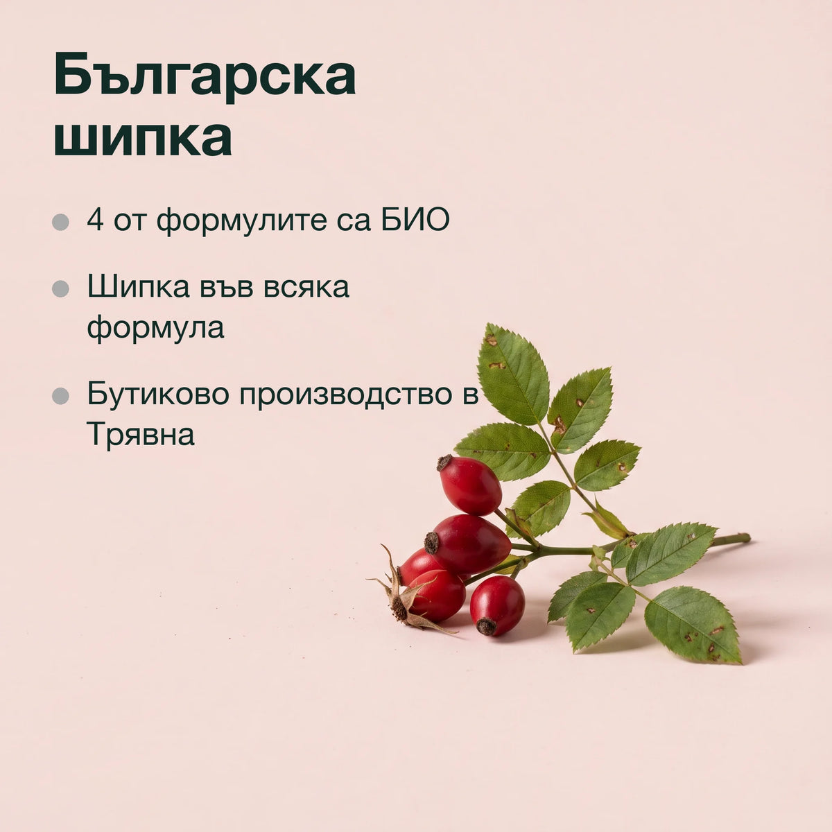 Имуно комплекс: Българска шипка
