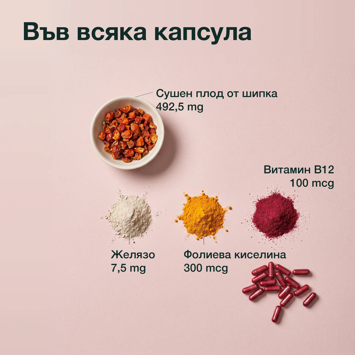 Шипка, желязо, фолиева киселина и B12: Във всяка капсула