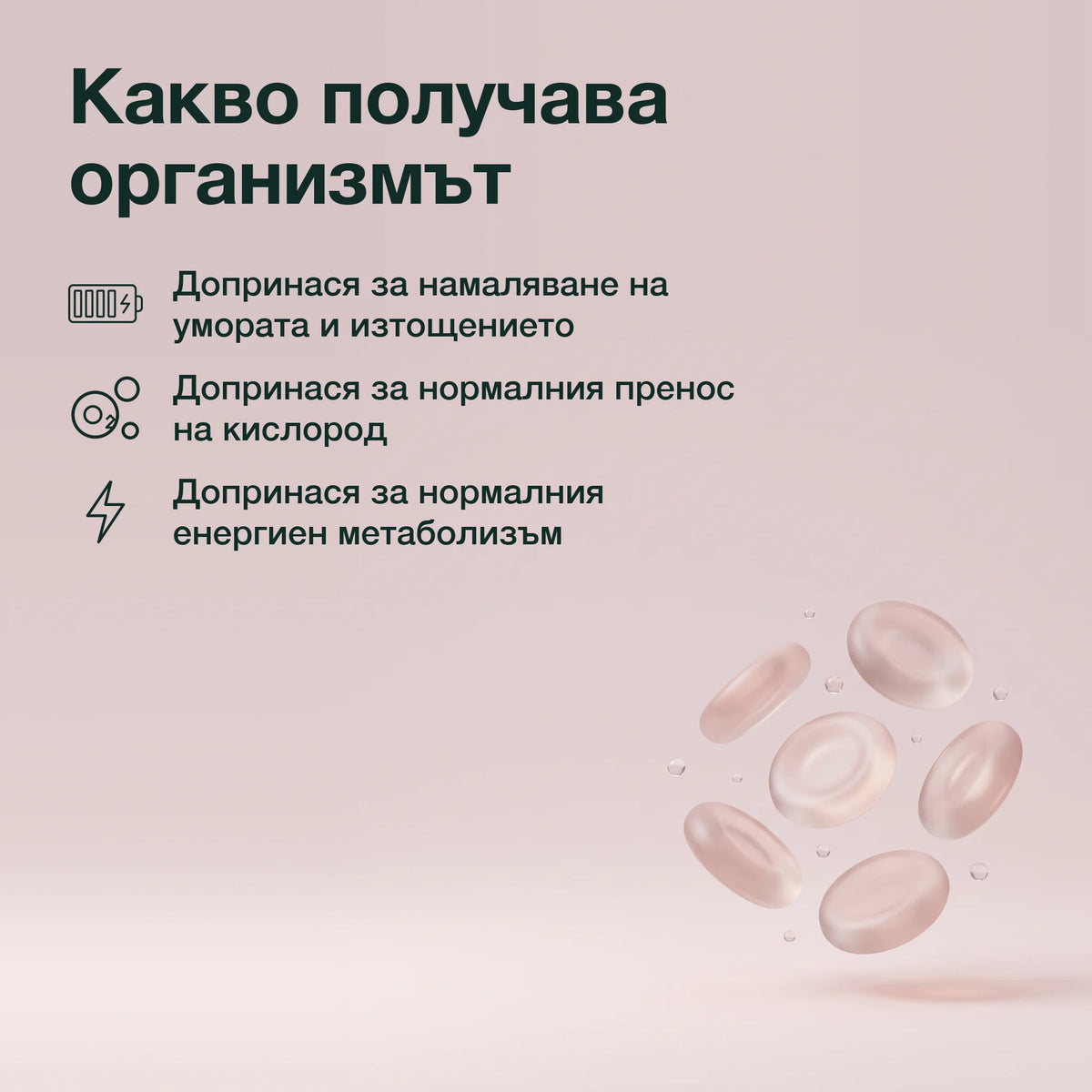 Шипка, желязо, фолиева киселина и B12: Какво получава организмът
