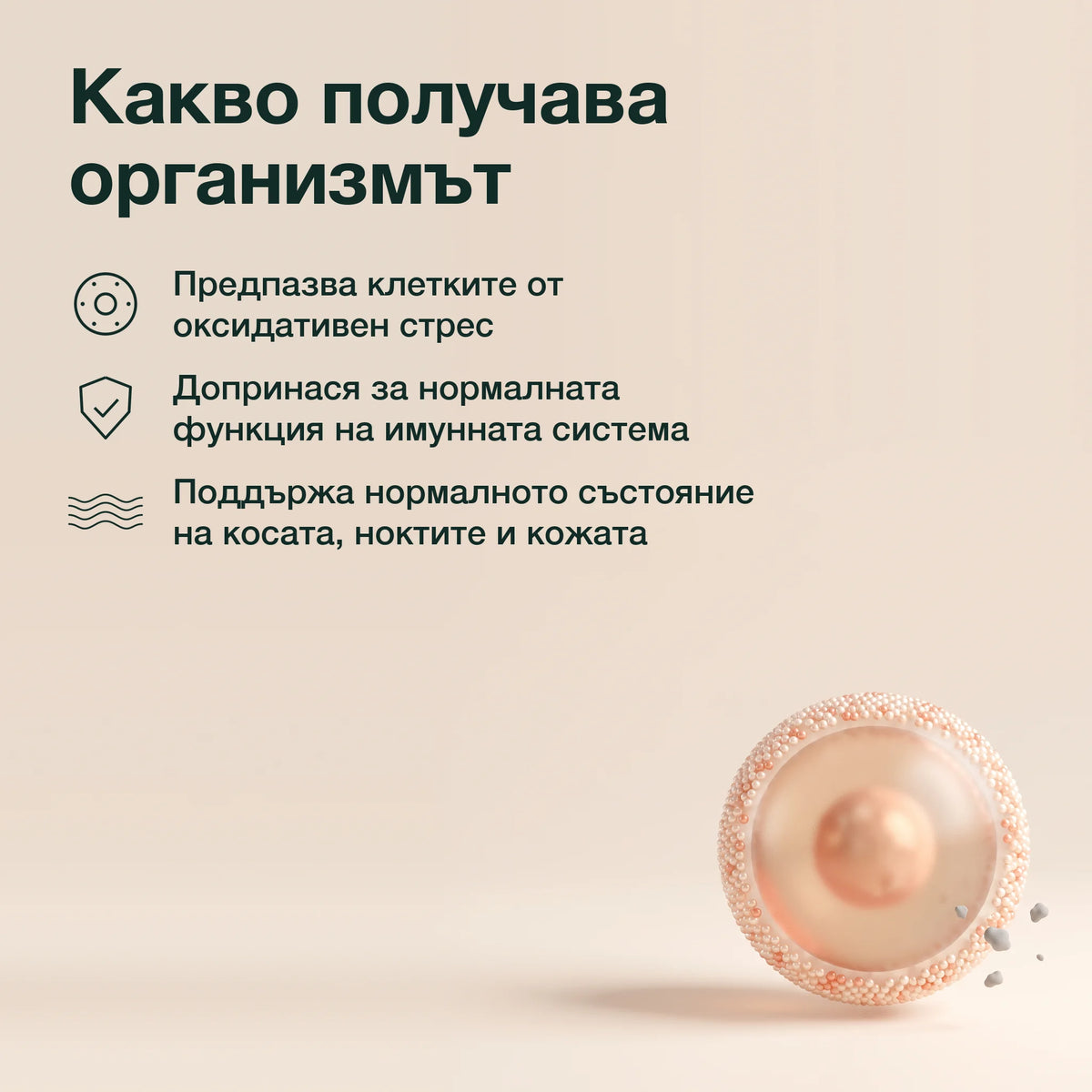 Шипка, цинк, селен и витамин E: Какво получава организмът