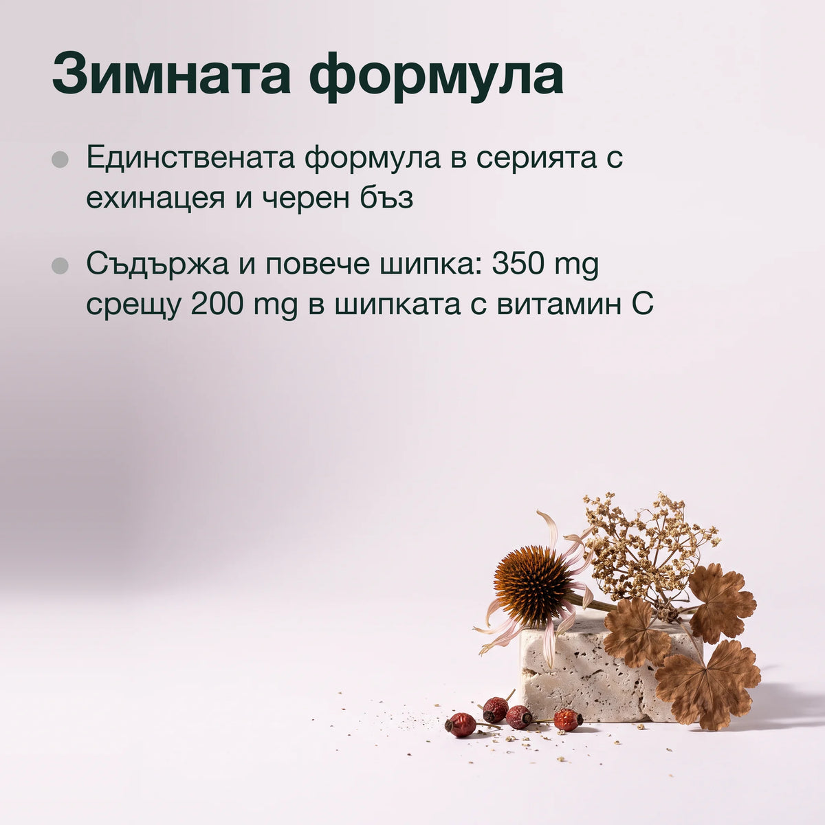 Шипка, ехинацея, черен бъз и кръвен здравец: Зимната формула