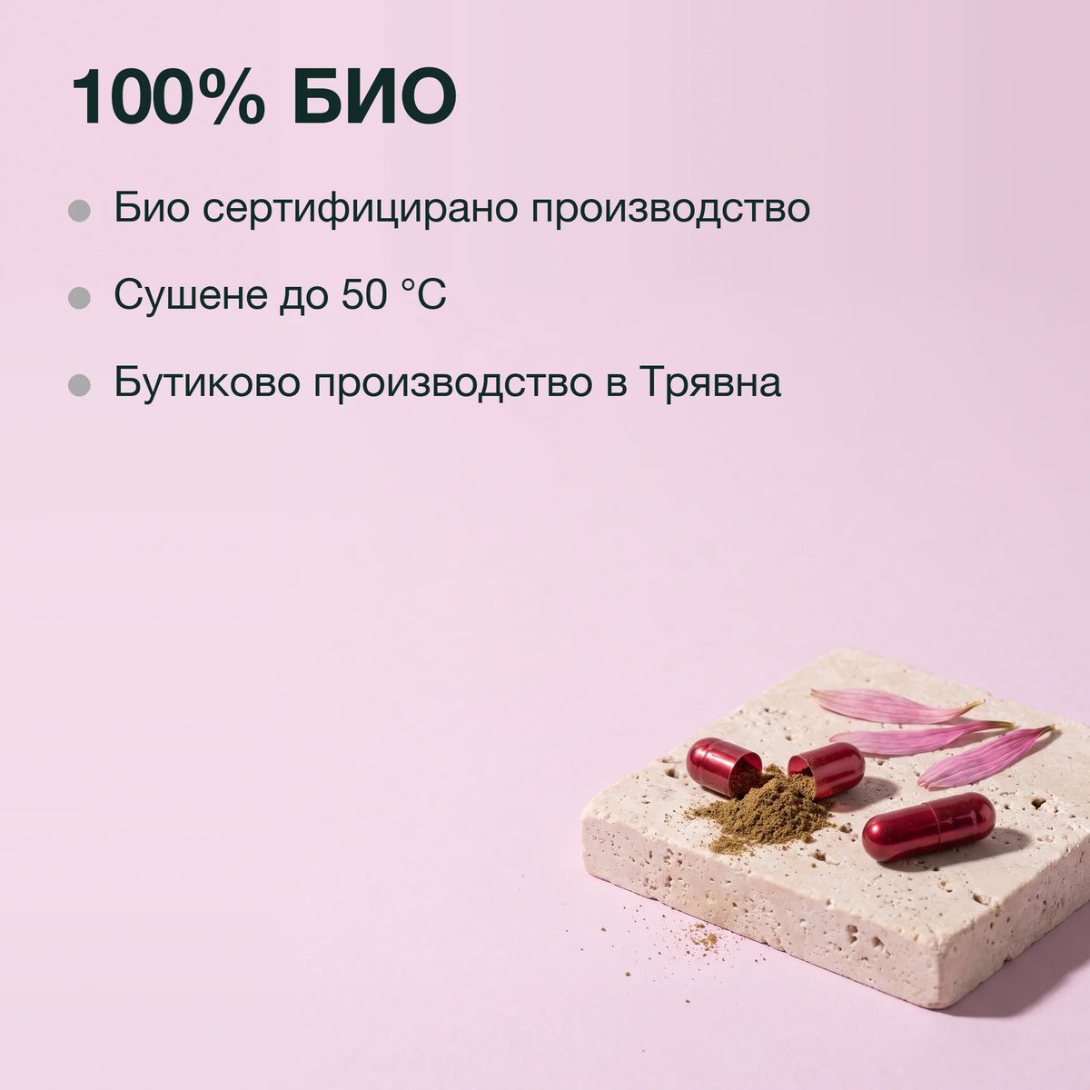 Шипка, ехинацея, черен бъз и кръвен здравец: 100% БИО