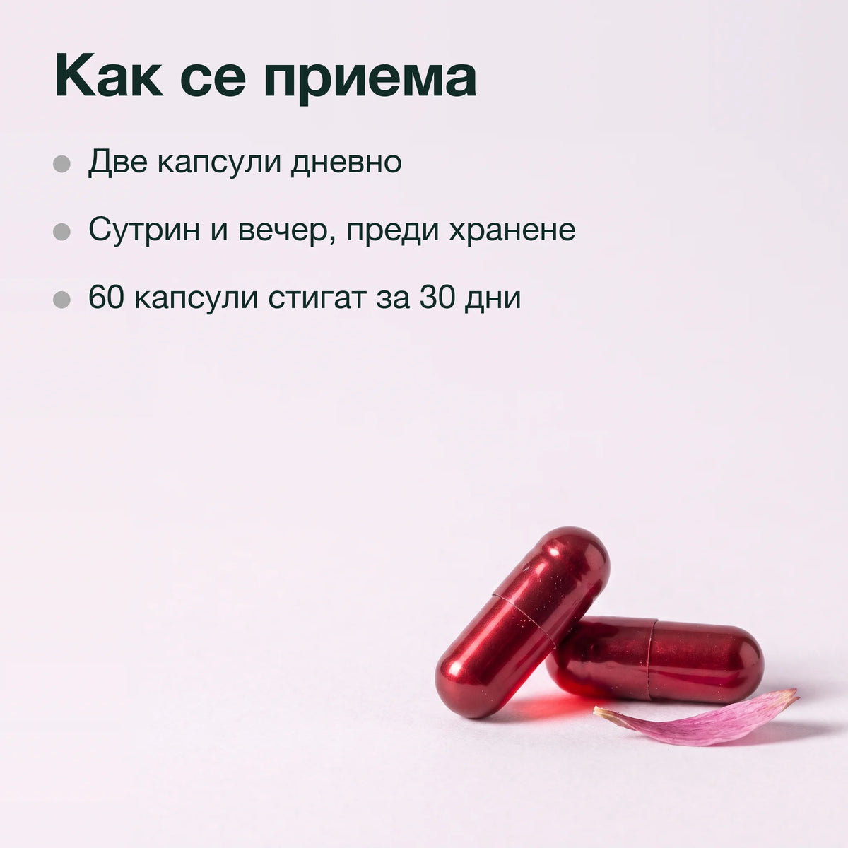Шипка, ехинацея, черен бъз и кръвен здравец: Как се приема