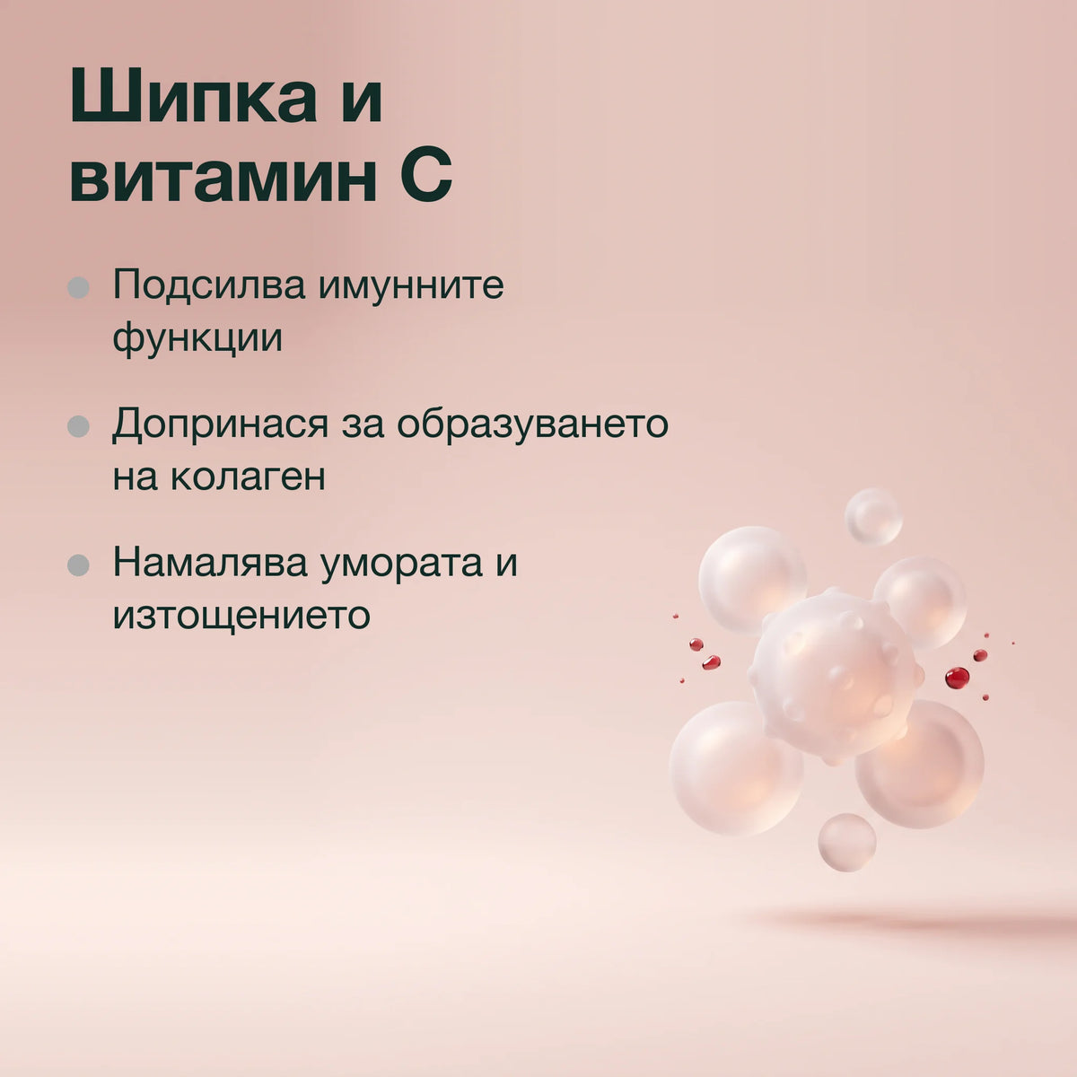 Шипка с витамин C: Шипка и витамин C