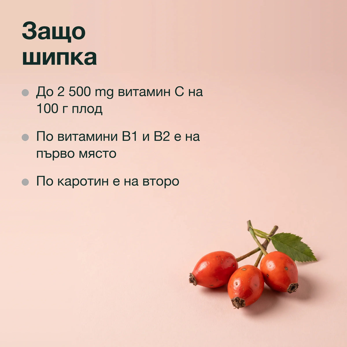 Шипка с витамин C: Защо шипка