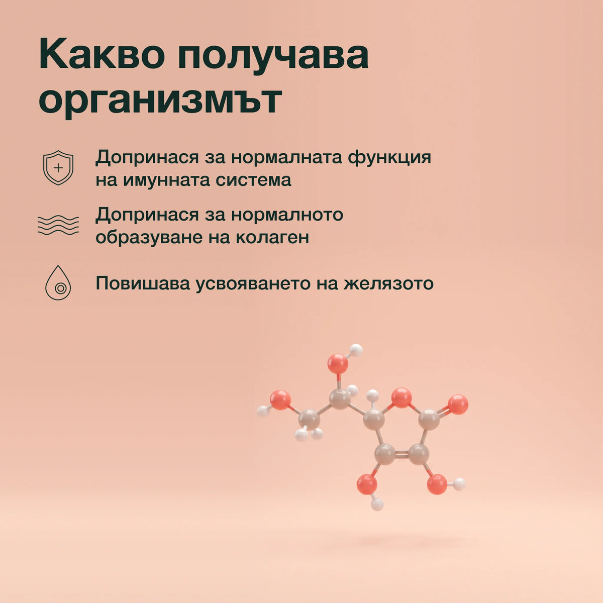 Шипка с витамин C: Какво получава организмът