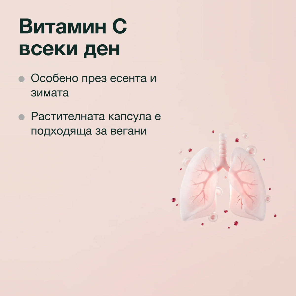 Шипка с витамин C: Витамин C всеки ден